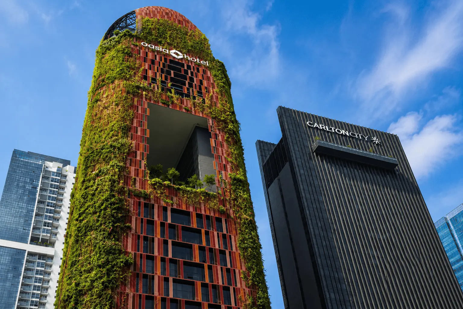 Oasia Hotel